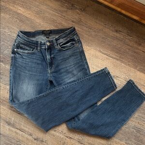 Judy Blue Classic Blue Skinny Jeans